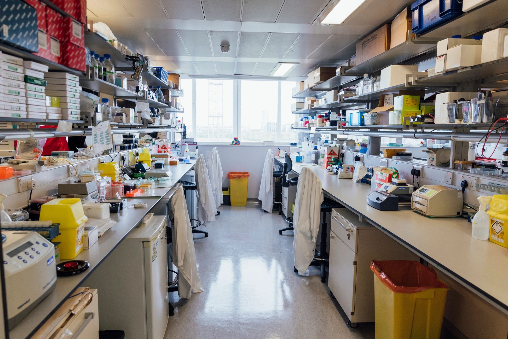 Modern biotechnology laboratory interior