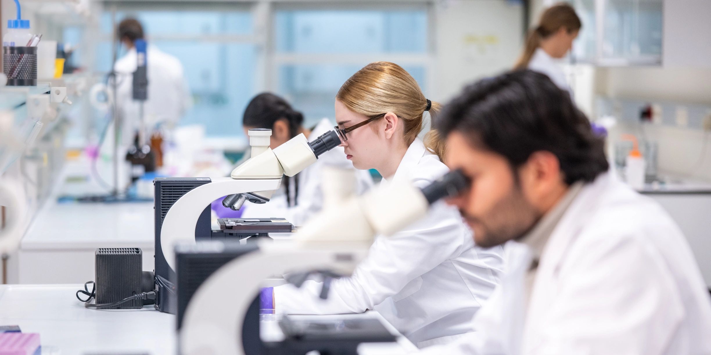 Researchers working with microscopes in a laboratory